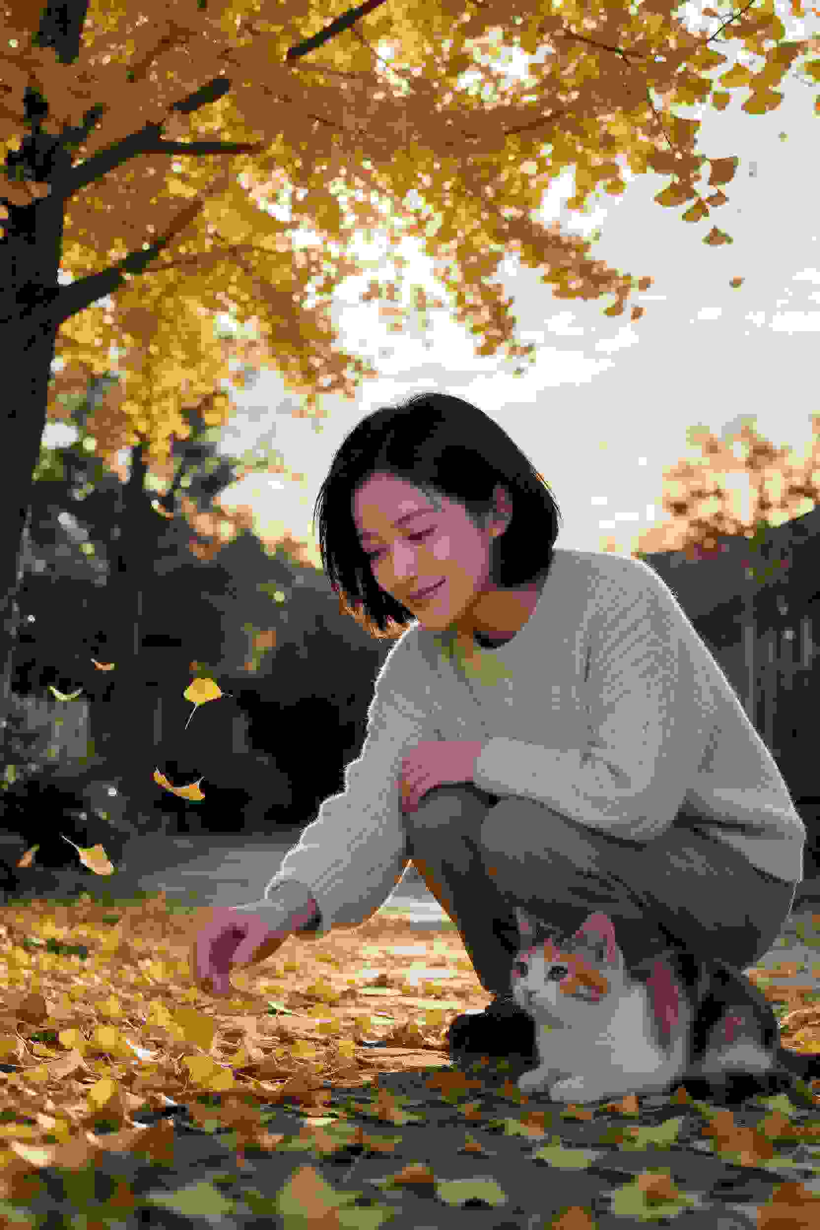 灵魂之岛
